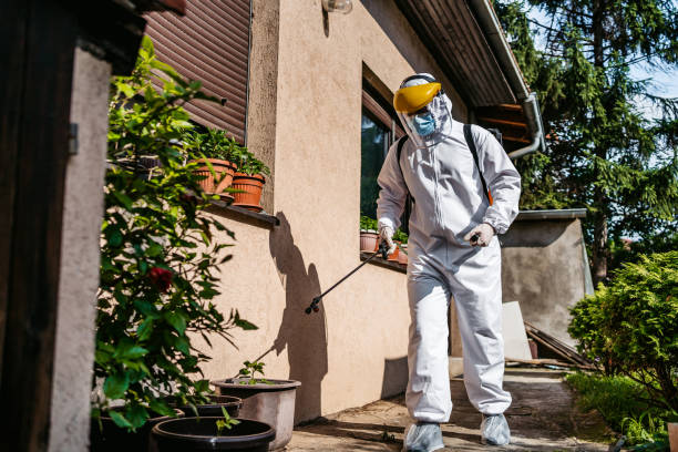 Best Bed Bug Extermination  in Rutherford, NJ