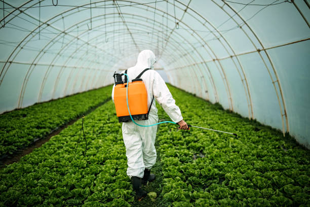 Best Local Pest Control Services  in Rutherford, NJ