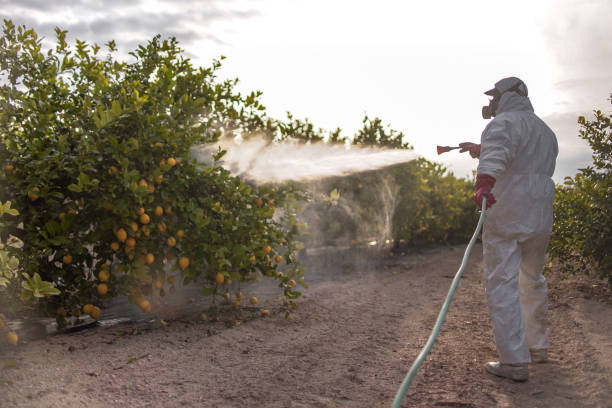 Best Best Pest Control Companies  in Rutherford, NJ