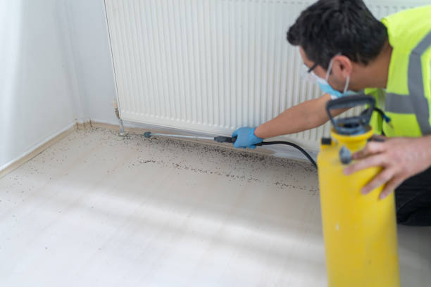 Best Best Pest Control Companies  in Rutherford, NJ