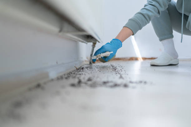 Best Rodent Control Near Me  in Rutherford, NJ
